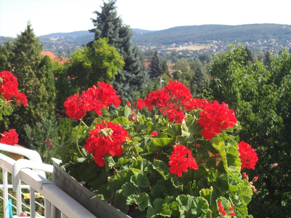 Ferienwohnung Maria Apartman Hévíz Exterior foto